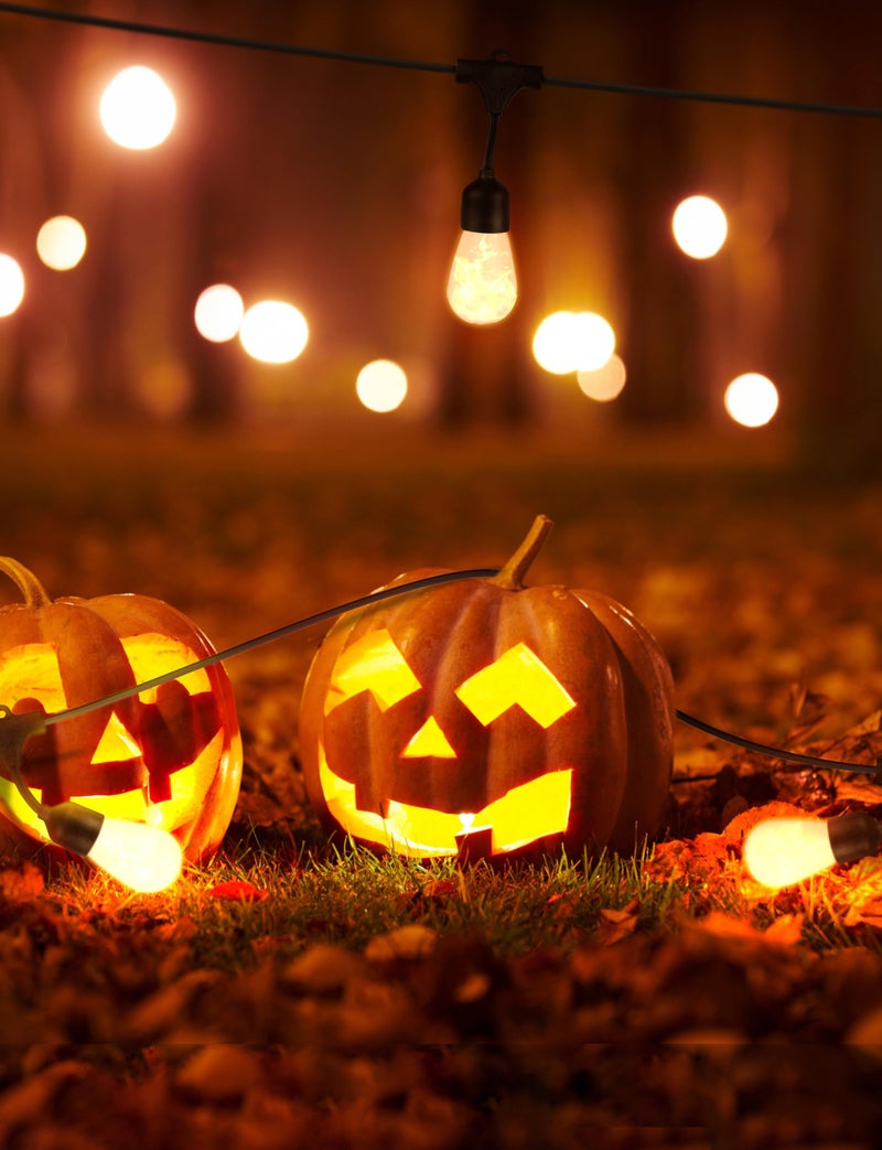 Brightech Ambience Pro Solar Powered LED Outdoor String Lights - 27 Ft Commercial Waterproof Patio Lights with Flaming, Flickering Bulbs - Shatterproof String Lights for Halloween, Porch, Deck - Image 2